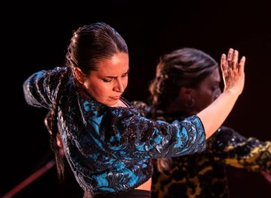 Photo of a flamenco dance