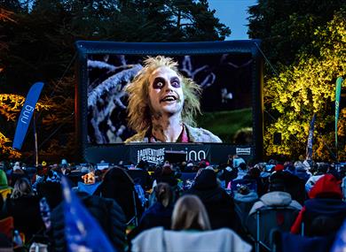 Halloween Outdoor Cinema at Wollaton Park