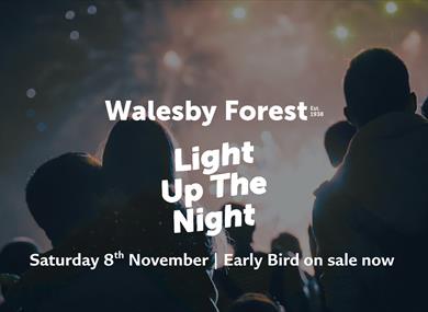 Light Up The Night Fireworks Display at Walesby Forest