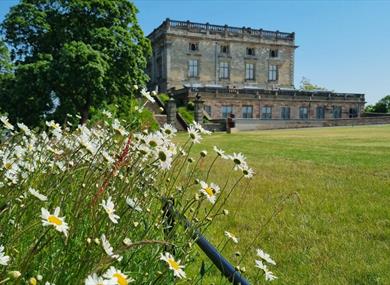 Nottingham Castle