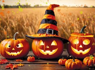 Pumpkin Fest at Manor Farm Park & Woodlands