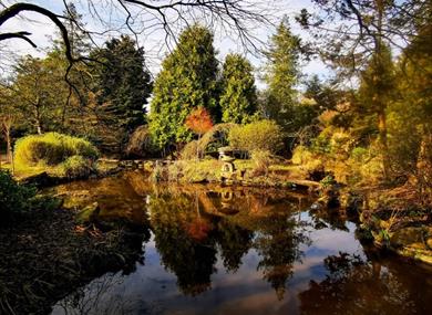 Newstead Abbey Garden