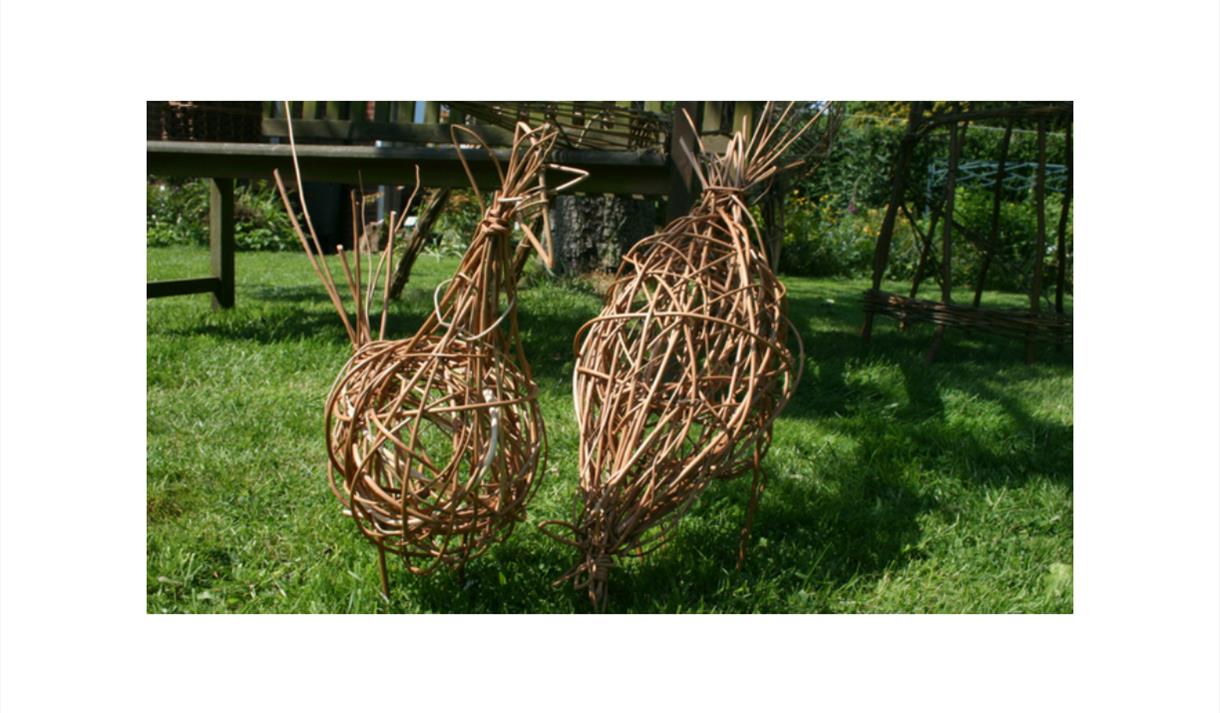 Chicken Willow Weaving | Visit Nottinghamshire