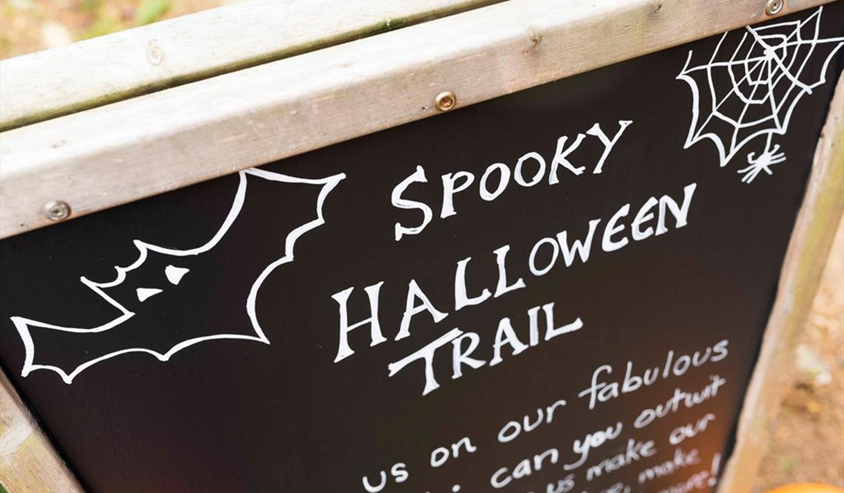 Halloween Family Potion Trail - Sold Out