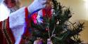 Santa decorates tree at Wollaton Hall