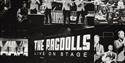 The Ragdolls – Jersey Boys Tribute Night
