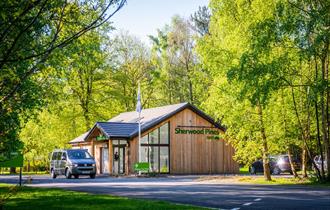 Sherwood Pines Camping in the Forest Site | Nottinghamshire
