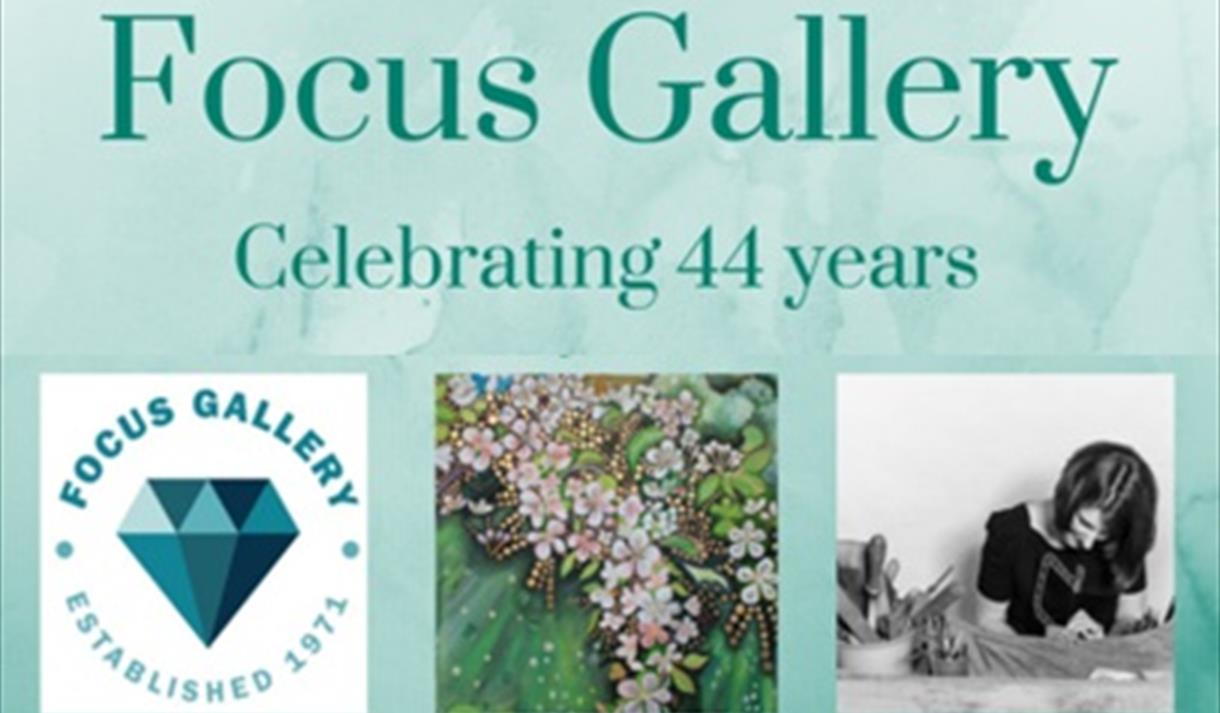 Focus Gallery Celebrating 44 Years!