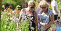 Plant Hunters Fair at Southwell Minster

