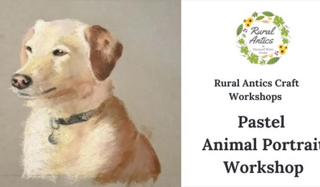 Pastel Animal Portrait for Beginners