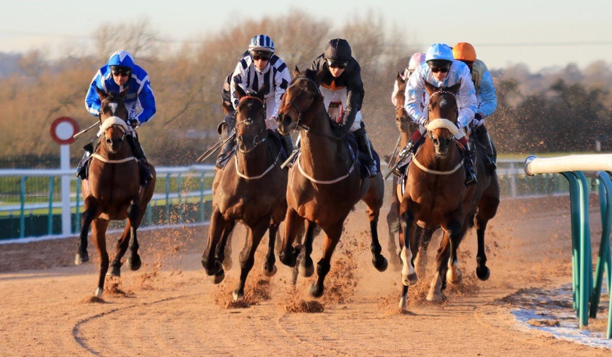 Free Raceday at Southwell Racecourse
