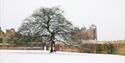 Bolsover Castle | Visit Nottinghamshire