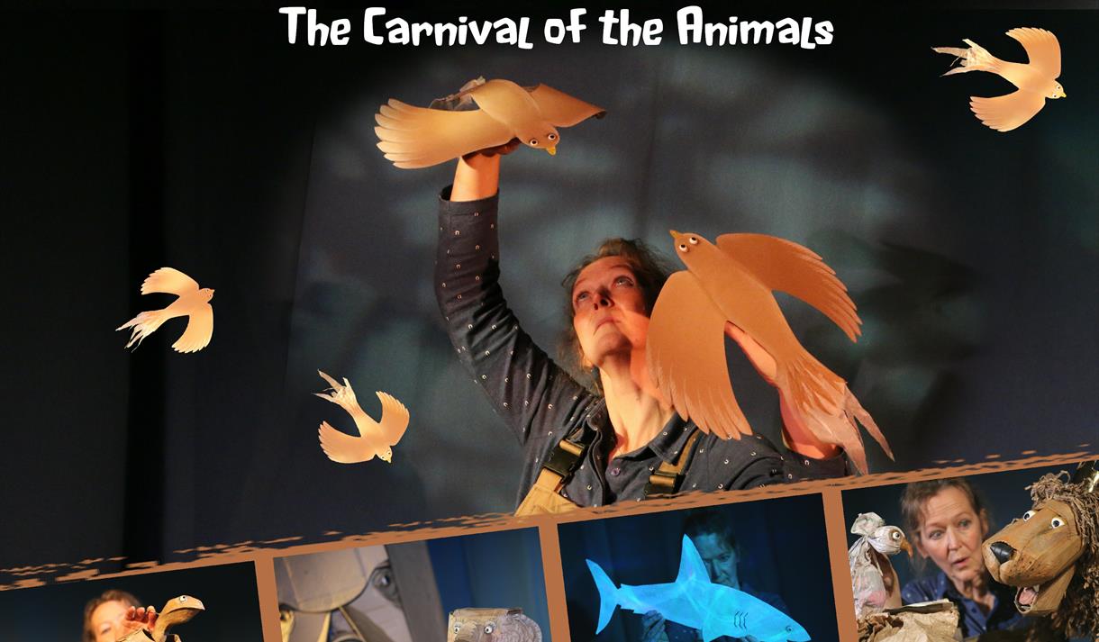 Cardboard Carnival - - The Carnival of the Animals
