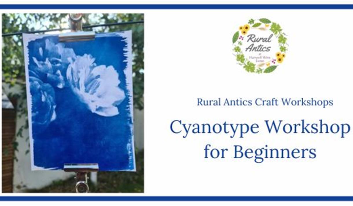 Cyanotype Workshop for Beginners