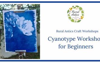 Cyanotype Workshop for Beginners