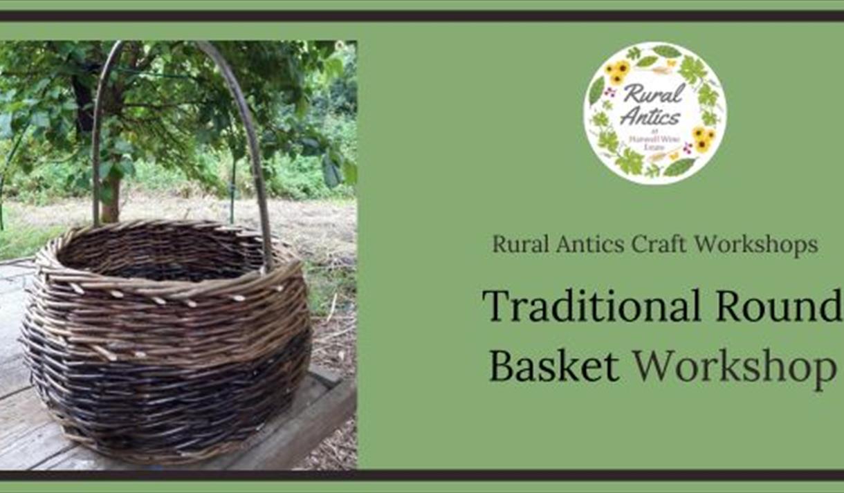 The image shows a round basket with a small tree plant coming out of it. The image shows a round basket with a small tree plant coming out of it.