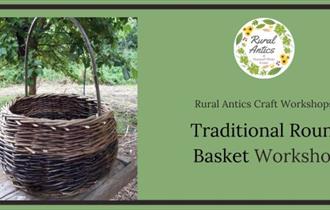 The image shows a round basket with a small tree plant coming out of it.
