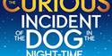 The Curious Incident Of The Dog In The Night-Time