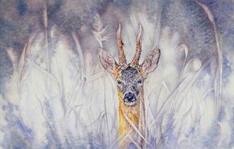 Painting of a deer looking through reeds and tall grass. There is a muted colour palette but the deer is in colour.