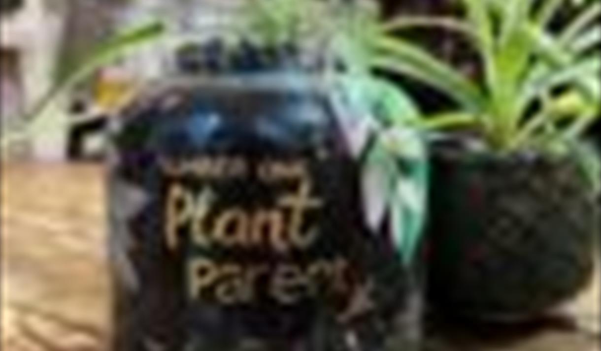 Make your own Open Planter | Visit Nottinghamshire