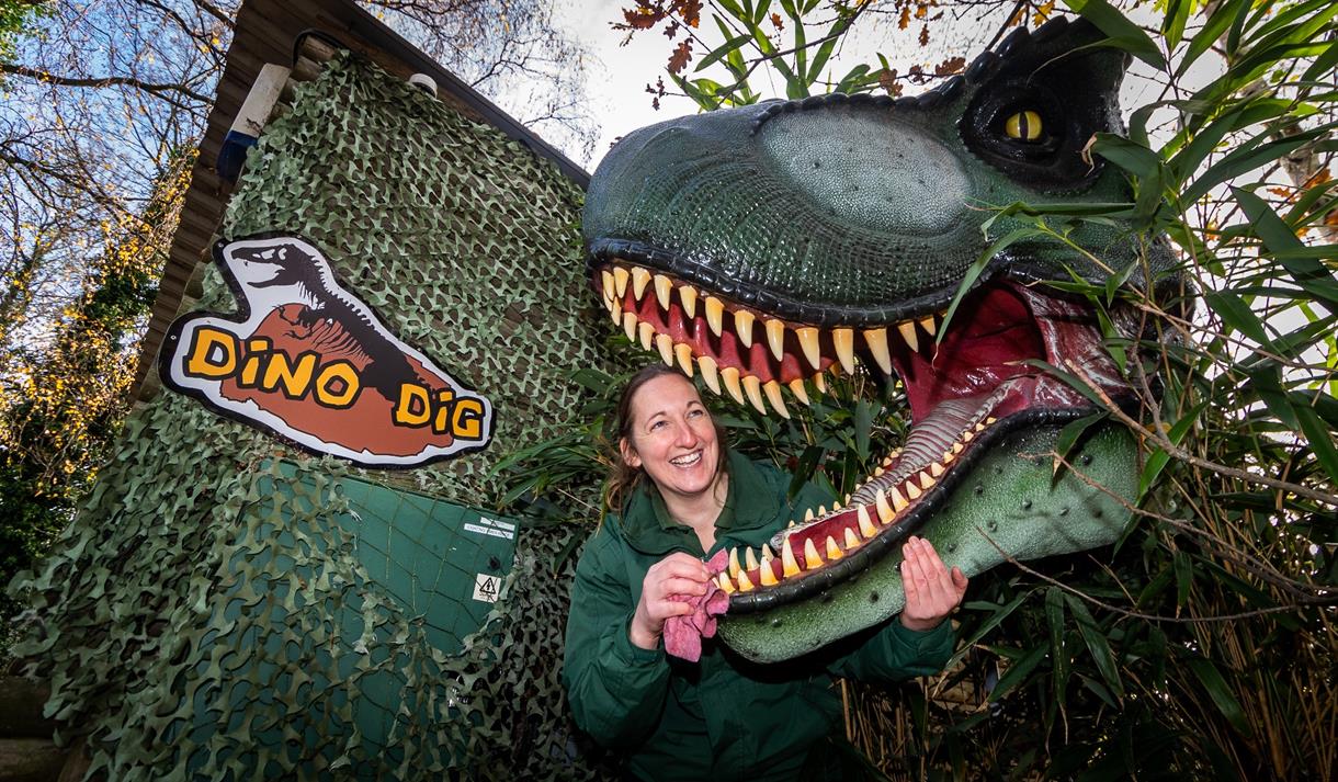 We Dig Dinosaurs This Half Term!
