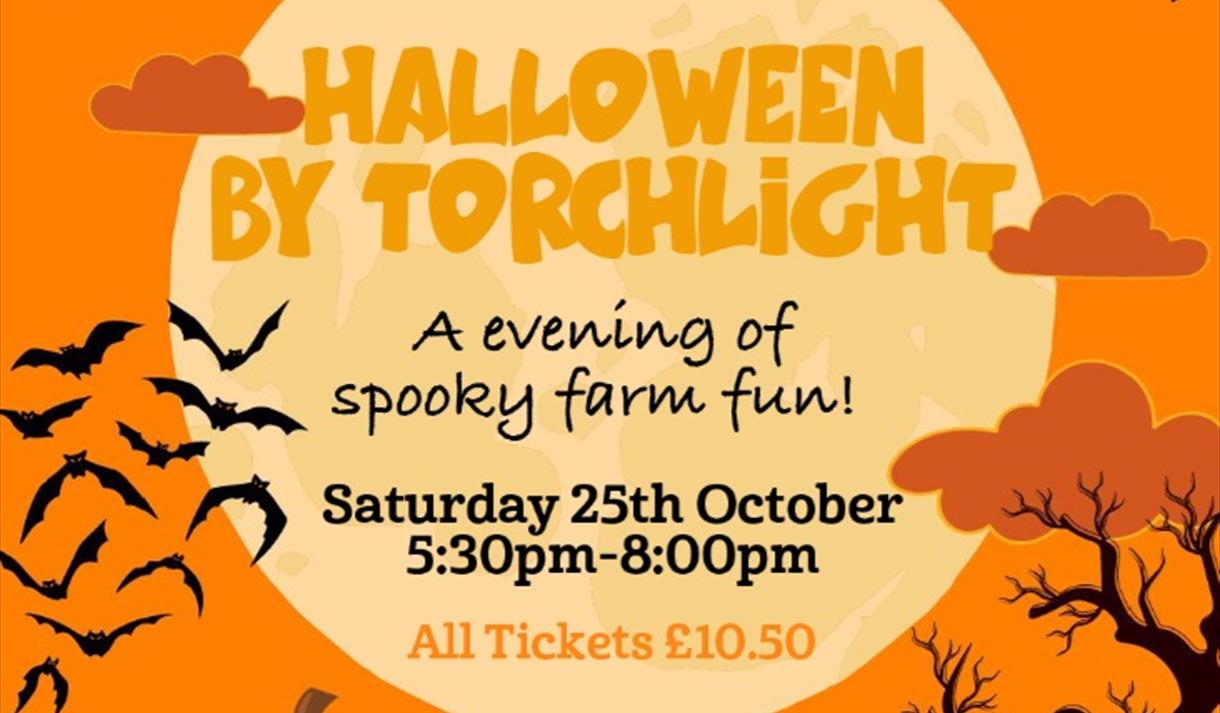 Halloween by torchlight Halloween by torchlight