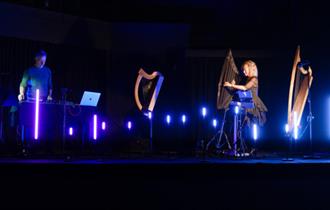 Photograph of harpists on stage.