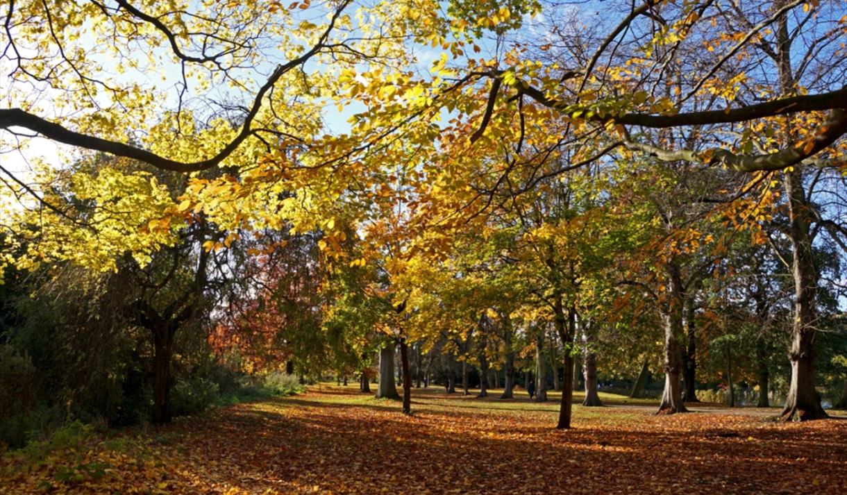 Paint Your Park: Autumn Challenge at Lakeside Arts | Visit Nottinghamshire