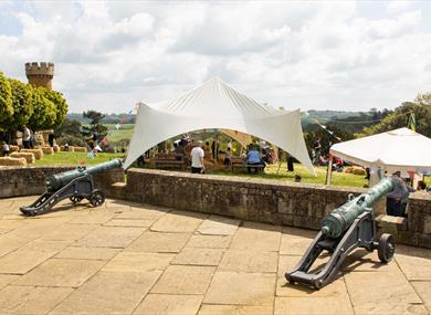 A photo of Belvoir Castle with a Garden Party in the grounds