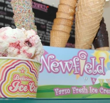 Newfield Dairy Ice Cream Parlour and Cafe