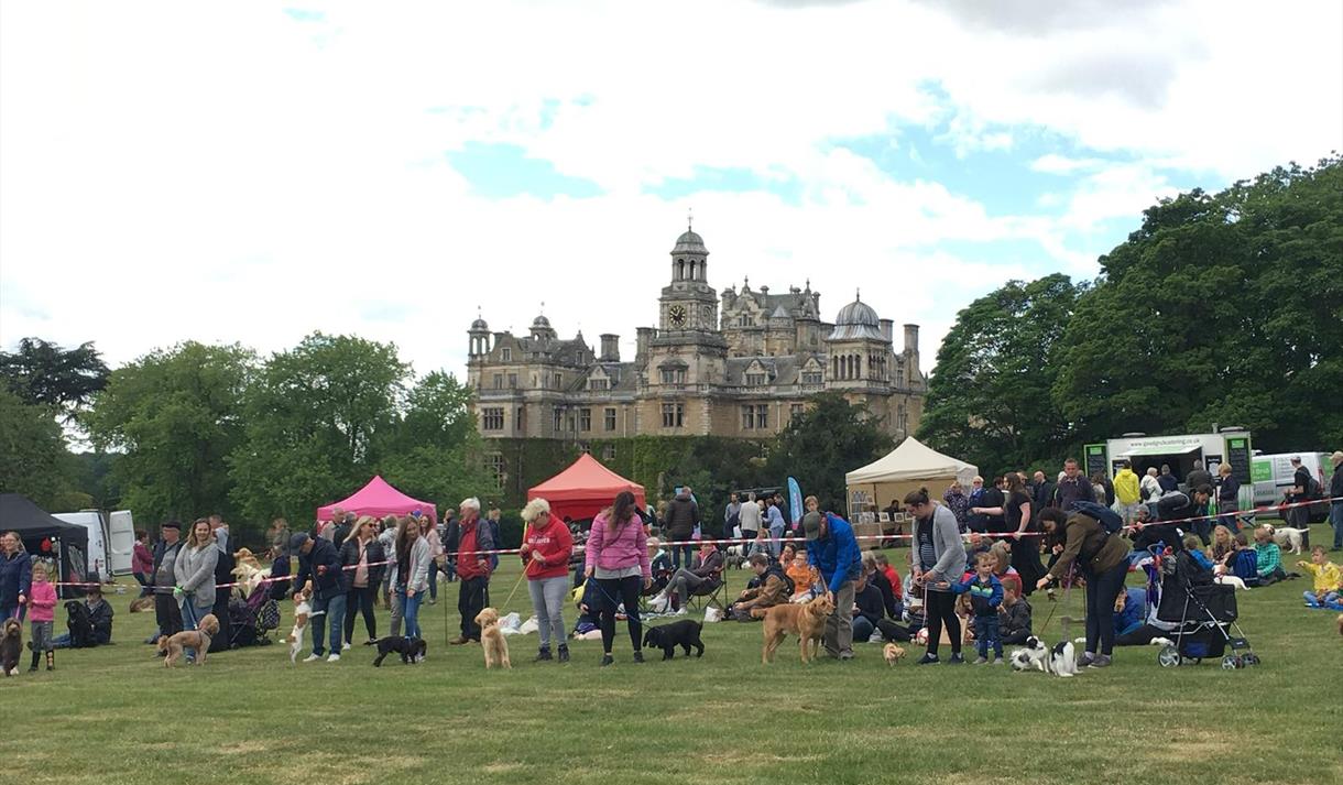Competitors line up with their dogs in front of food and drink stalls within the grounds of Thoresby Park