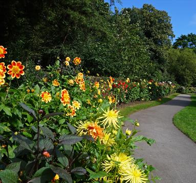 Nottingham Arboretum