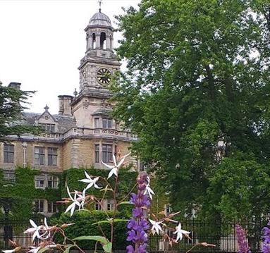 A photograph of flowers in front of Thoresby Park.
