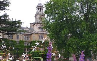 A photograph of flowers in front of Thoresby Park.
