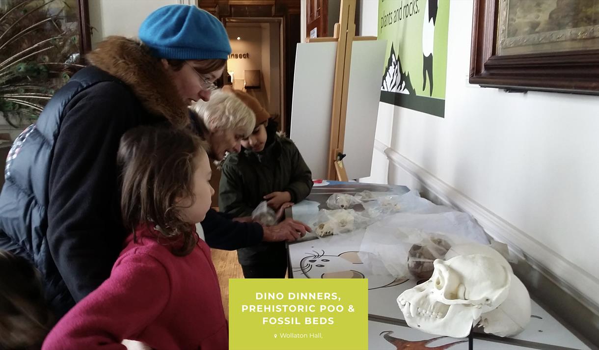 Dino Dinners, Prehistoric Poo & Fossil Beds event