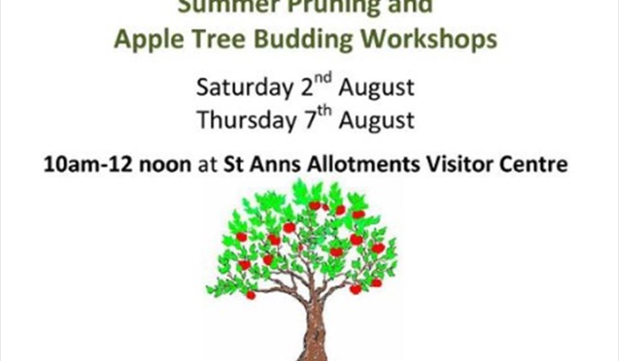 Summer Pruning and Apple Tree Budding Workshops
