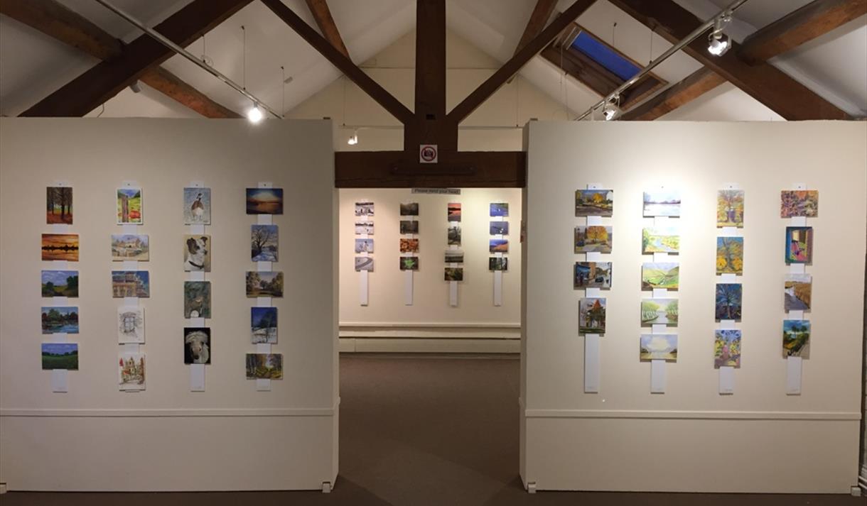 The Artist & Leisure Painter Exhibition at Patchings