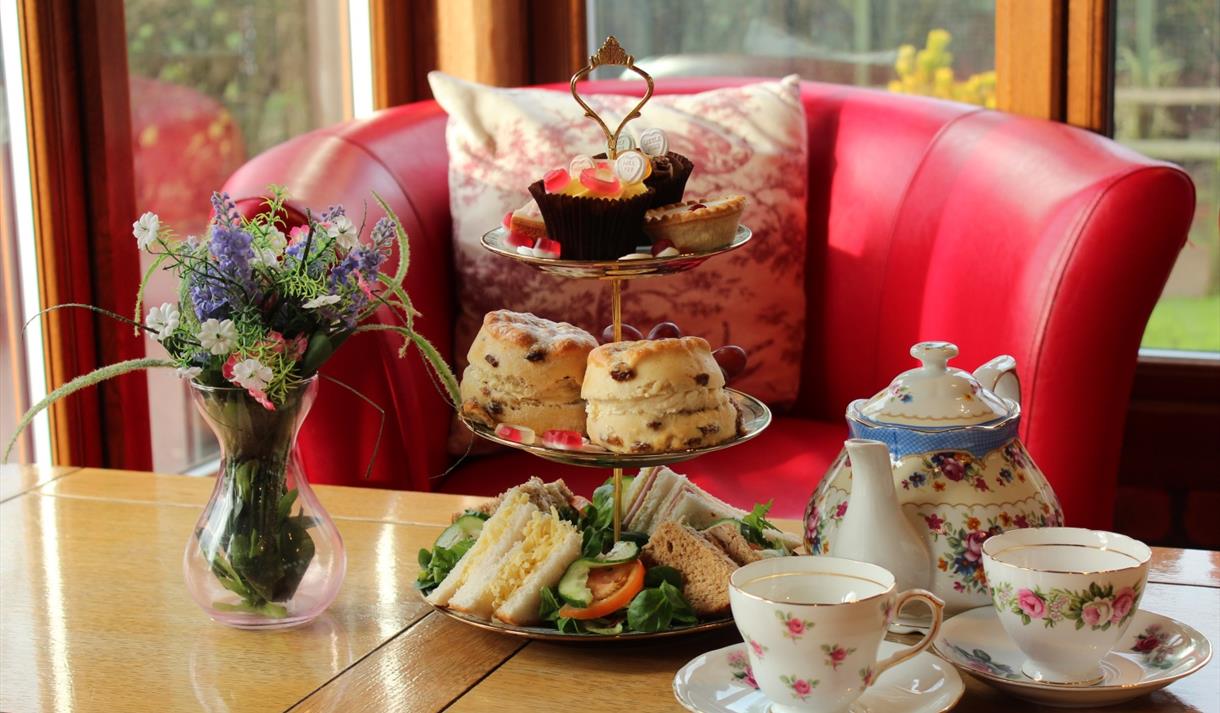 Valentine's Afternoon Tea at The Tropical Butterfly House
