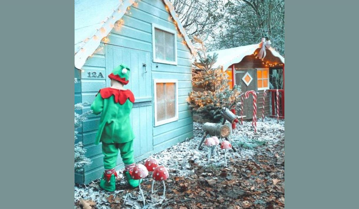 Visit Santa in his Woodland Wonderland!
