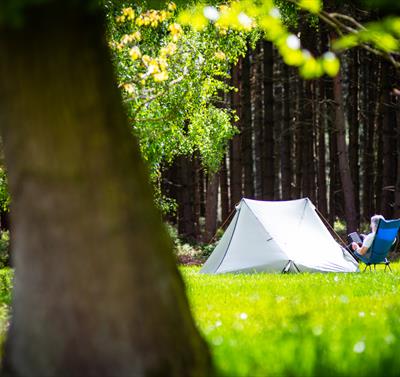 Sherwood Pines Camping in the Forest Site, Nottinghamshire