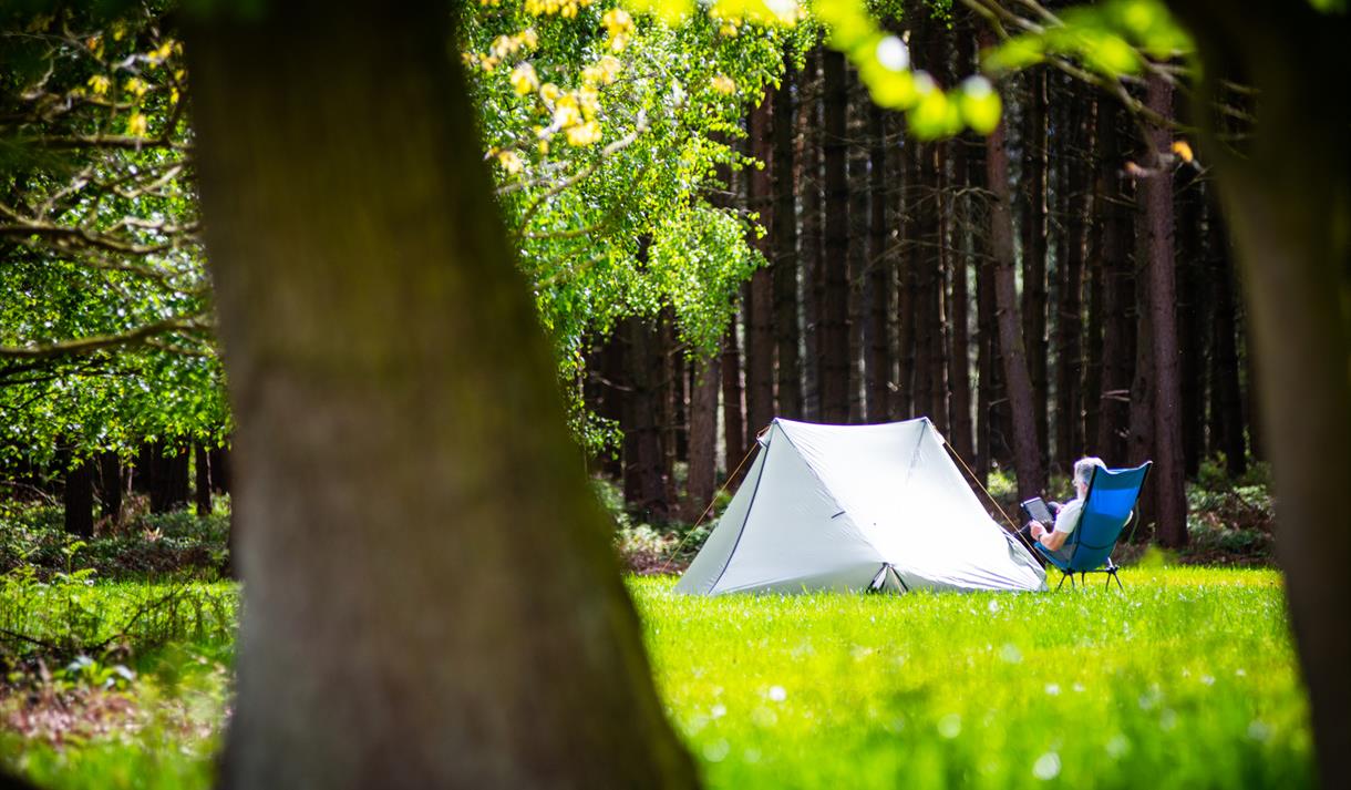 Sherwood Pines Camping in the Forest Site, Nottinghamshire
