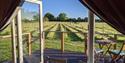 Wolds Wine Estate | Nottinghamshire
