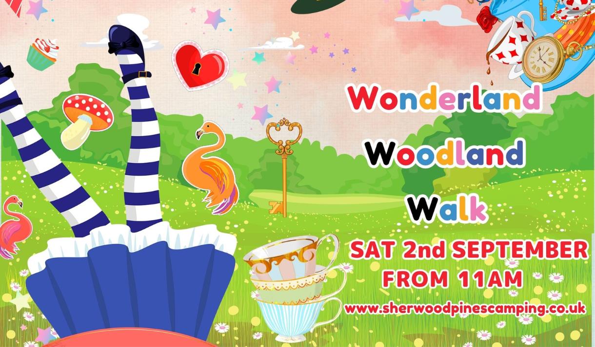 Wonderland Woodland Walk
