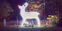 Image of Woodthorpe Reindeer light installation