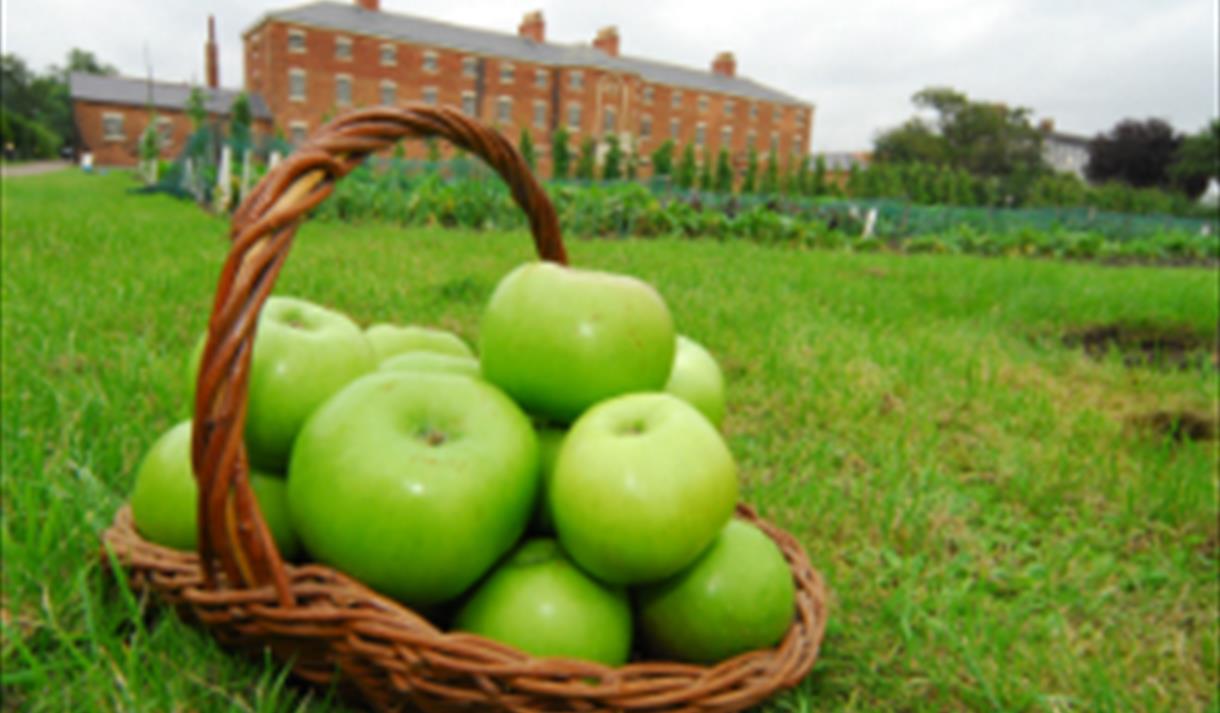 Apple Day at The Workhouse, Nottinghamshire