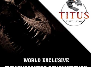 Titus T. rex is King