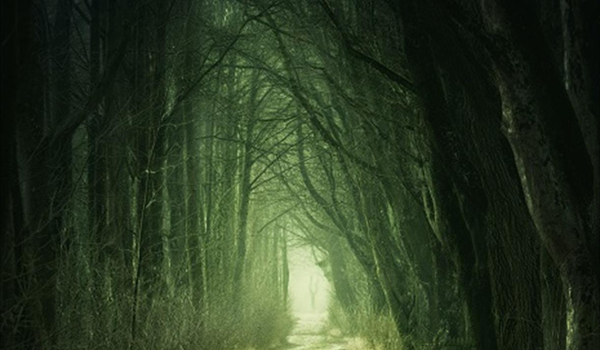 The image shows a green woodland with a long path running through it.