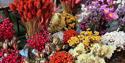 Wreath Making: Dried Flowers with Debbie Bryan
