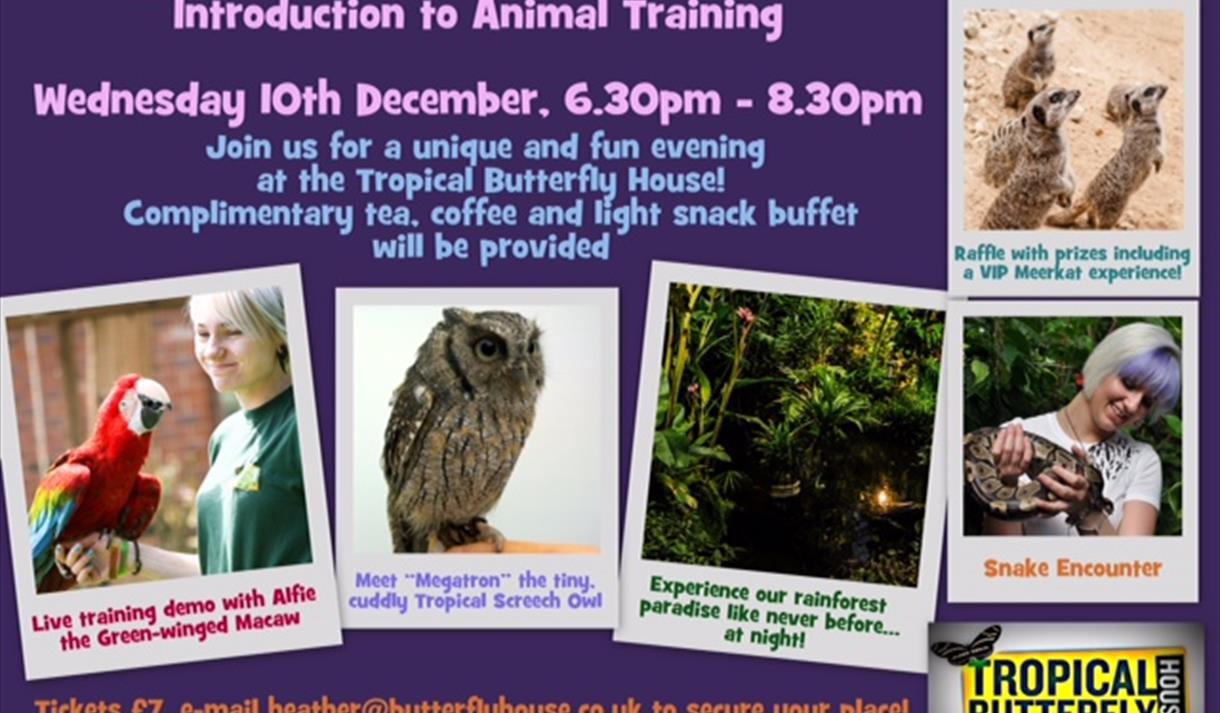 Night-time Butterfly House Tour & Introduction to Animal Training!