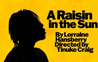 Graphic of the show including the title and a woman in silhouette against a bright yellow background.